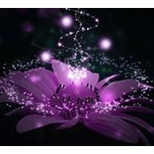 Sarah Sbeta's photo