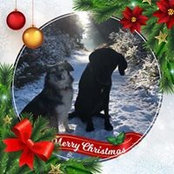 Jacqueline Abbott's photo