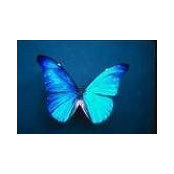 Andrea Brennen's photo