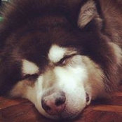 Jess Araneta's photo