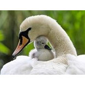 Michelle Hirdes's photo