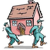 Teili Movers's photo