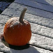 Melissa Sondergaard's photo