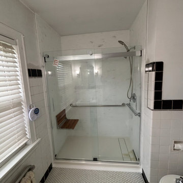Shower Conversion in Detroit