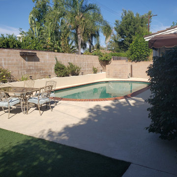 Backyard clean up and remodel