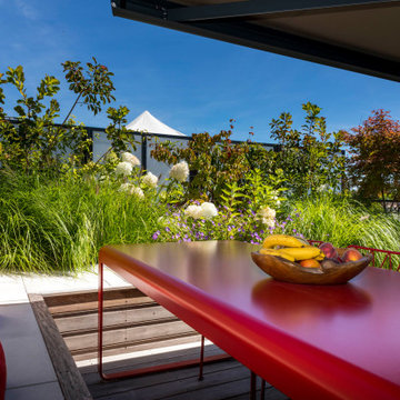 une terrasse foisonnante!