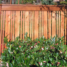 Gates & Fences