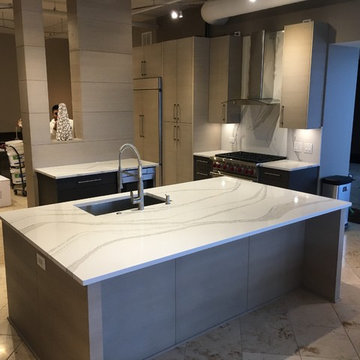 333 N Canal St, Chicago IL. Modern Kitchen