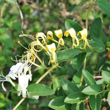 Wildlife Sanctuary
