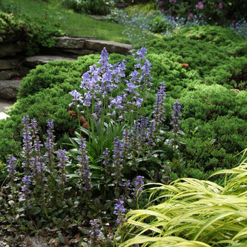 Woodland Garden