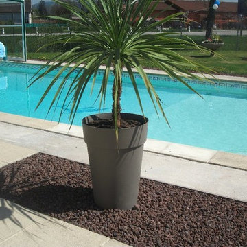 Piscines et Spas