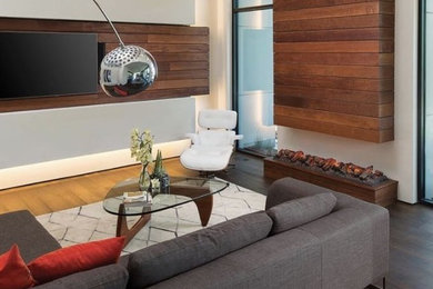 Living room - modern living room idea in Kansas City