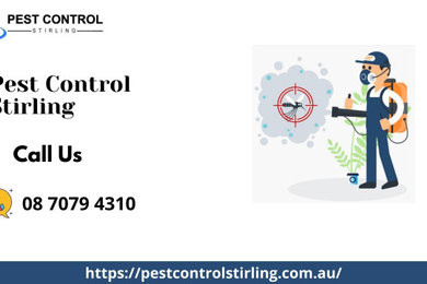 Local Pest Control Services in Stirling, SA