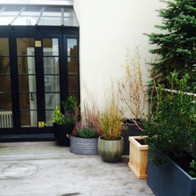 rooftop and garden