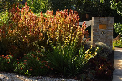 Rustic Front Garden