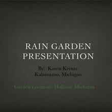 Rain Garden Completion