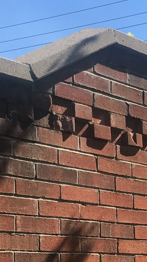 damaged bricks.... what to do?