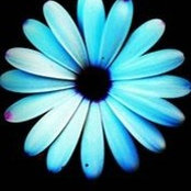 Mary Jane Smith Simms's photo