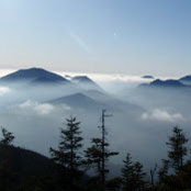laura gerson's photo