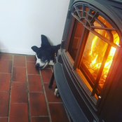 Nicole Dalton's photo