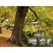 Cherie Benns's photo