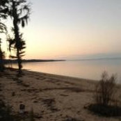 Nancy Burd's photo