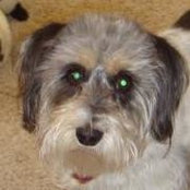 Debbie Debol's photo