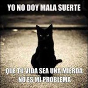 Raúl Rodríguez's photo