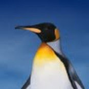 Alan Love's photo