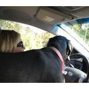 Kristen Brown's photo
