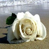 Debbie Law's photo