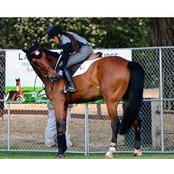 Courtney Shattuck's photo
