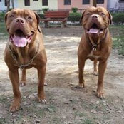 Arjit Singh's photo