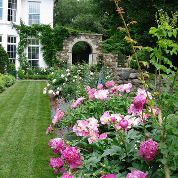 Peony allee