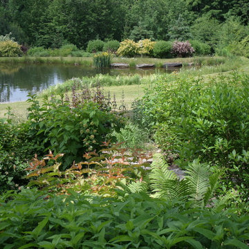Wild Native Mix Looking across the Pond