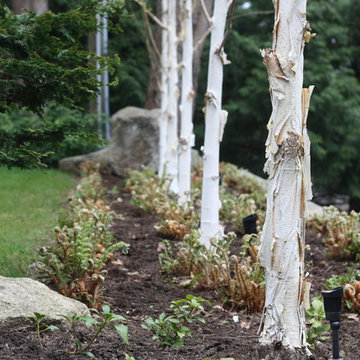 Willowcreek Garden