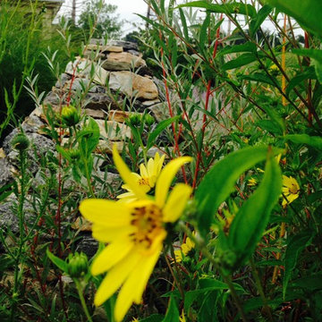 The DPG Farm Gardens, East Vincent Township