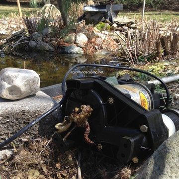 Ecosystem Pond Maintenance, Spring Pond or Water Garden Maintenance  Tips