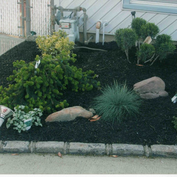 Front Yard landscaping with Belgium Block tree rings