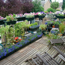 Patio Ideas