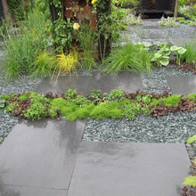 violingal4's front yard