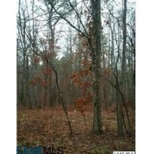 2 acres of nature's best at only $35,000!!!!