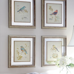 Four Songbird Prints - Artwork