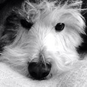 Elizabeth Kumm's photo