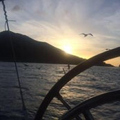 Sarah Martin's photo
