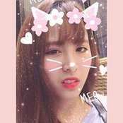 Trà Triệus foto