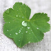Sally Cornwell's photo