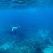 Carrie Coffey's photo