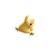 Crystal Pope's photo