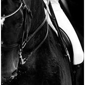 AnVe Die's photo